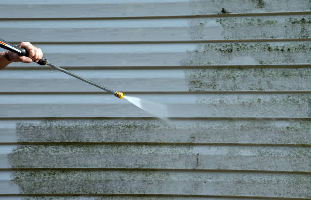 Office Mold Removal Services in Hennessey, OK