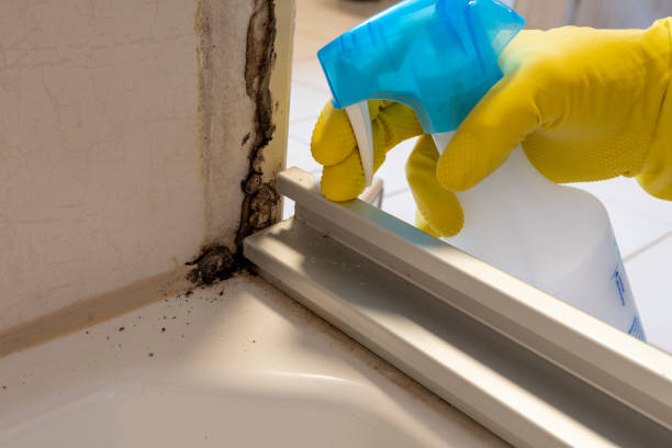 Mold Testing and Removal in Hennessey, OK