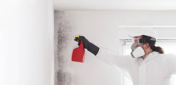 Best Mold Testing  in Hennessey, OK