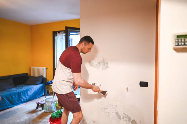 Best Office Mold Removal Services  in Hennessey, OK
