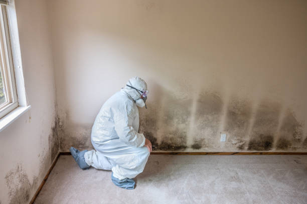 Best Crawl Space Mold Removal  in Hennessey, OK