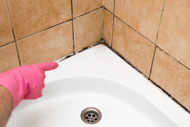 Best Crawl Space Mold Removal  in Hennessey, OK